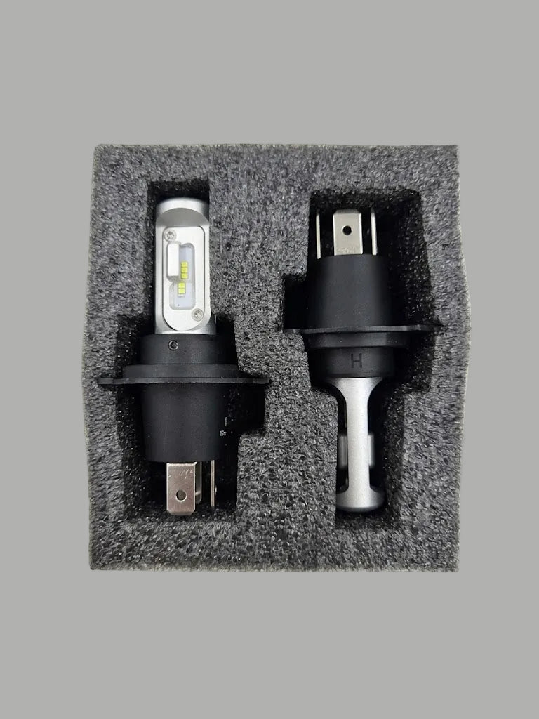 IGNITE Retro Fit LED Globe - 2 Pack
